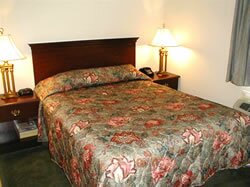 Queen Bed - Brooklyn Hotel New York